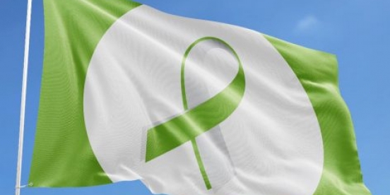 Hisser le drapeau et porter du vert !