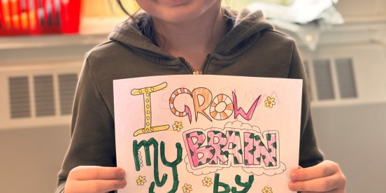 Perseverance in Grade 2